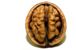 Walnuts